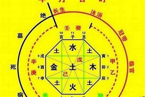 七煞是什么意思|八字命理知識之十神：七煞